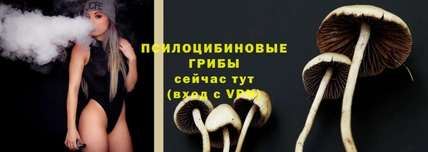 амфетамин Осинники