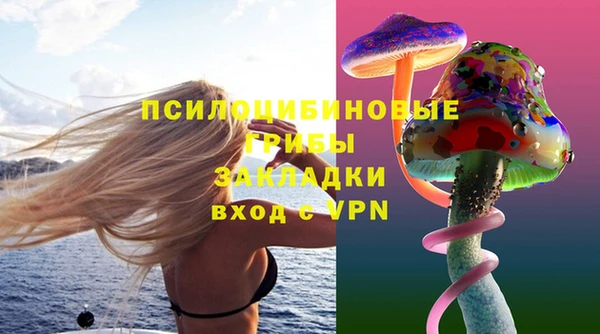 прущая мука Осташков