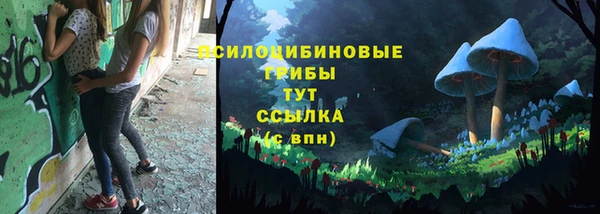 прущая мука Осташков